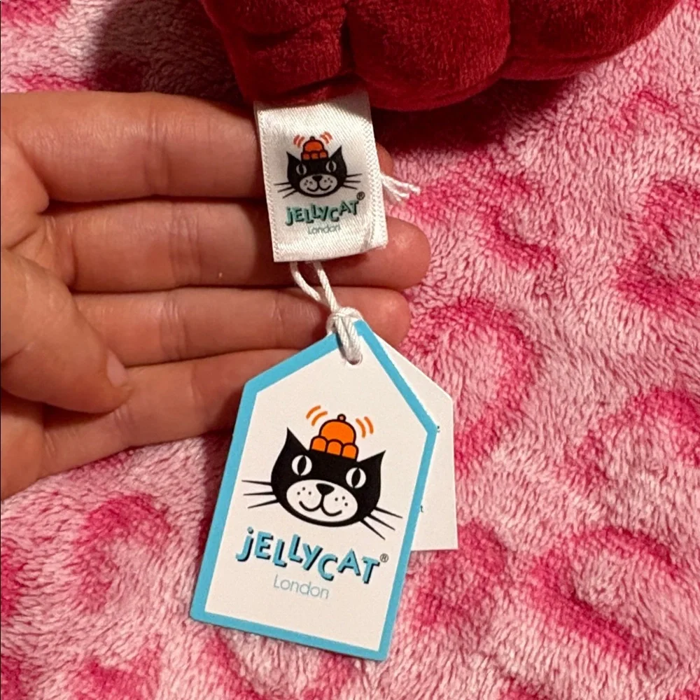 Retired Jellycat Raspberry *SMALL HOLE* - Picture 3 of 5